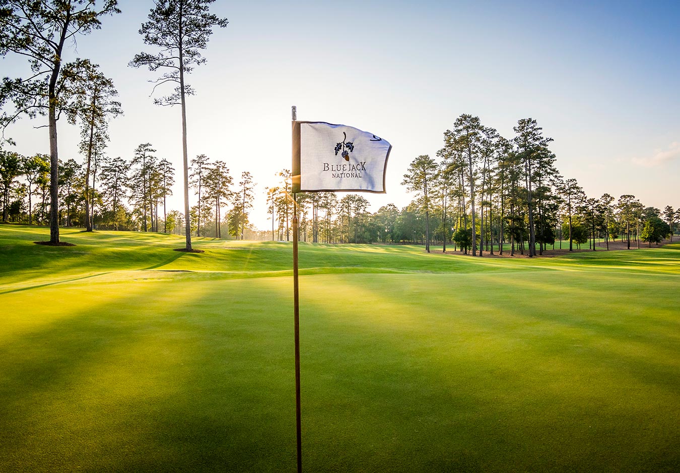 Bluejack national club & community Clearance