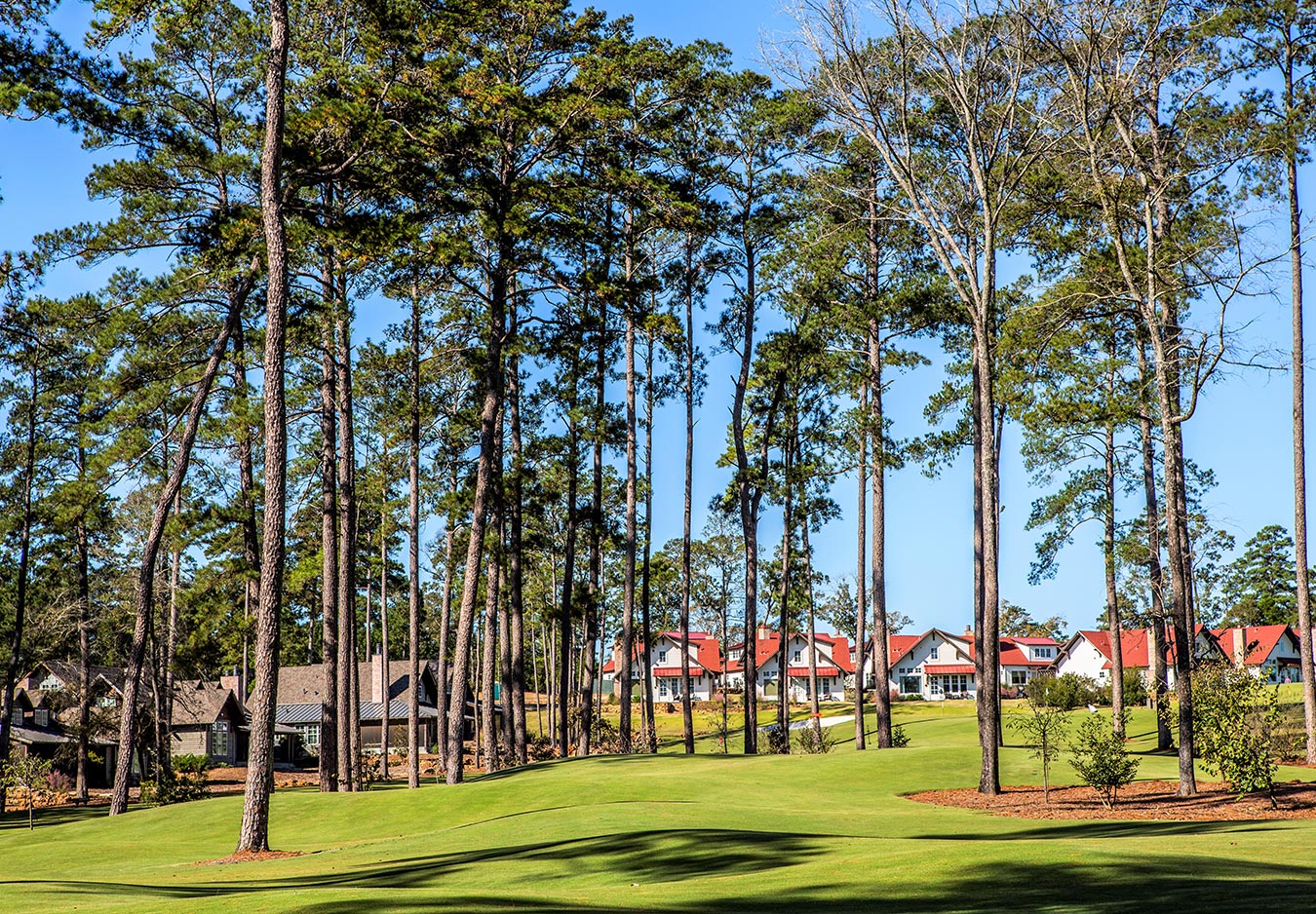 Golf at Bluejack National ResortStyle Residential & Golf Course